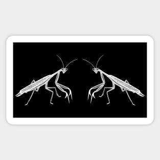 Praying Mantises in Love - cute and fun insect design Sticker